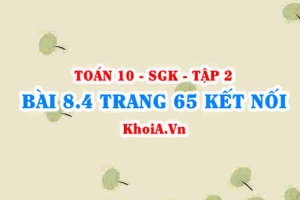 Bài 8.4 trang 65 Toán 10 Kết nối tri thức Tập 2